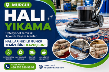 Murgul Halı Yıkama
